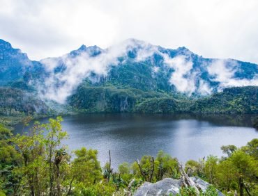mt. rwenzori national park (1)