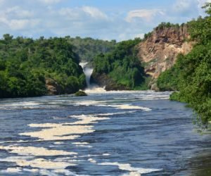 the great nile river and lush vegetation