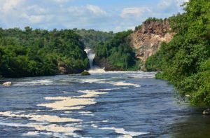 the great nile river and lush vegetation