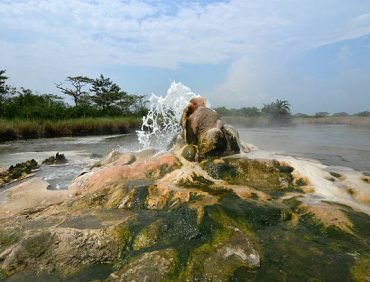 semuliki national park (4)